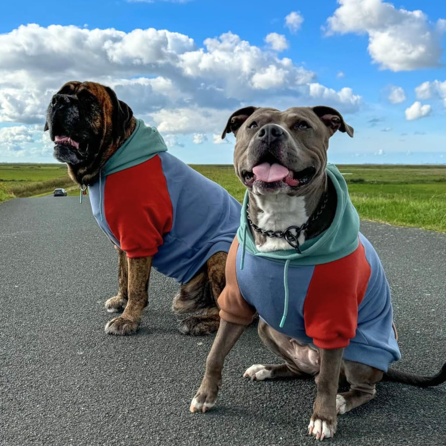 Spark Paws Dog Hoodie – Premium Dog Sweater for Small, Medium, and Large Dogs | Warm Outfits for French Bulldogs, Pitbull, Puppy, Winter Jacket Alternative - Alpine - XL