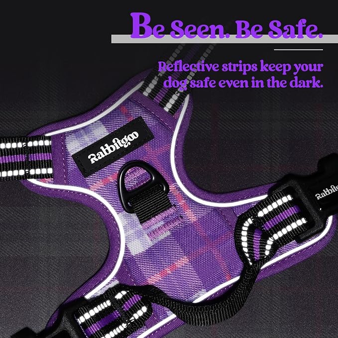 rabbitgoo Dog Harness, No Pull for Large Dogs with 2 Leash Clips, Pet Vest | No Choke with Handle, Adjustable Soft Padded, Reflective, Easy Control for Walking, Purple Plaid, Large