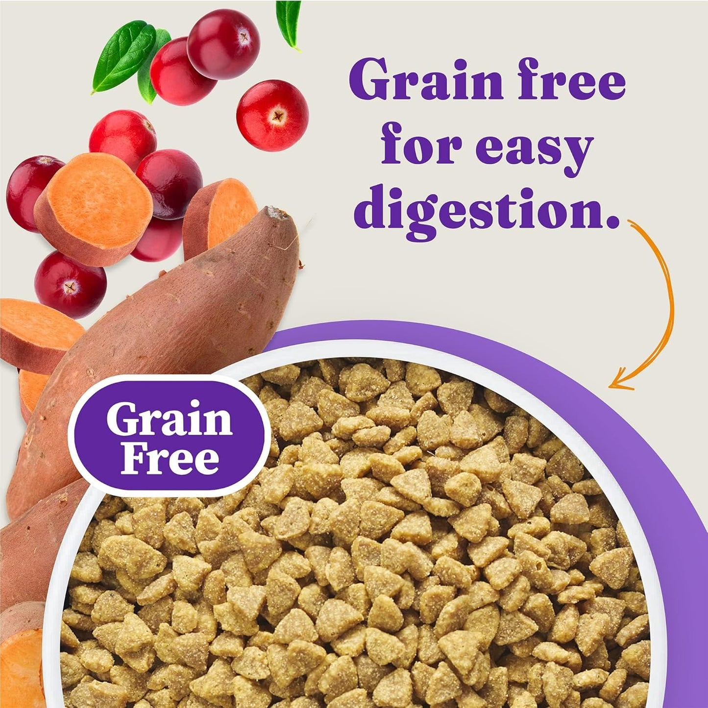 Halo Holistic Cage Free Chicken Cat Food, Grain Free Dry Cat Food, For Healthy Weight Support, Kibble for Indoor Cats, 10 lb Bag