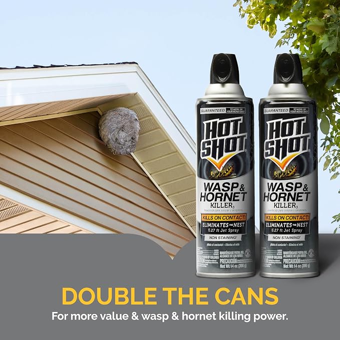 Hot Shot Wasp and Hornet Killer Aerosol, Up to 27-Foot Jet Spray, 14 Ounces, 2 Pack