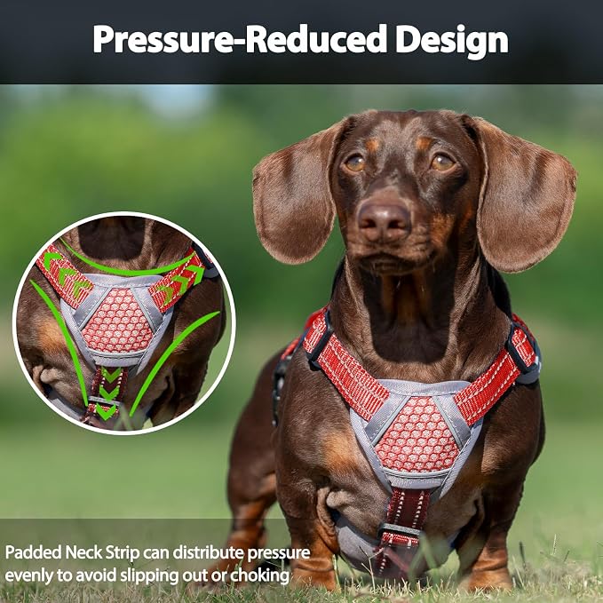 Escape Proof Dog Harness, Dachshund Harness, Reflective Dog Harness with Handle, Durable,Adjustable Vest for Small Medium Large Dogs Walking, Training, and Running Gear (Red,S)