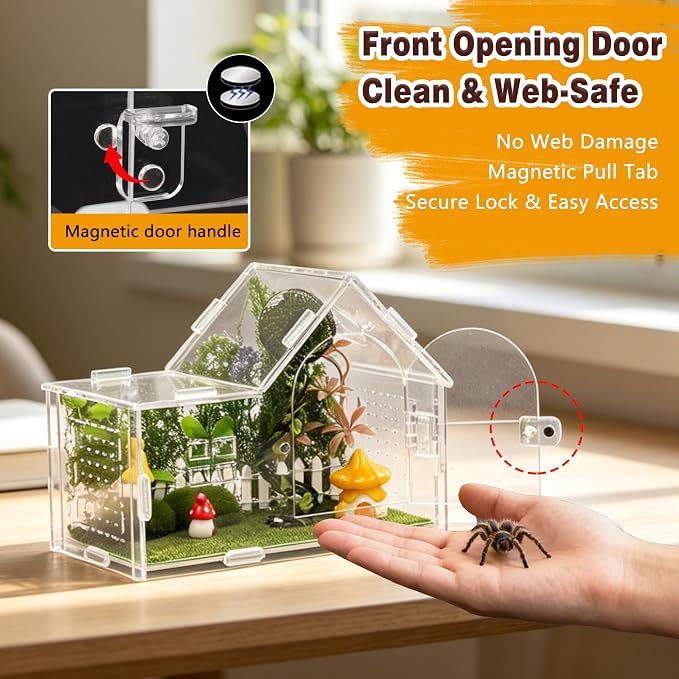 Acrylic Jumping Spider Enclosure Kit 16PCS with Decor | 16-pc mossy forest decor with mushrooms, stones, hideout, for mantis & tarantula