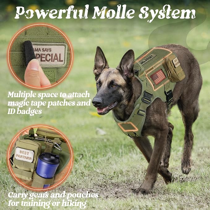 rabbitgoo Tactical Dog Harness for Small, Heavy Duty Military No Pull Vest | Sturdy Metal Buckles, 5 Adjustments, Molle System, Powerful Pullers for Training, Hunting, Outdoor, Green, Small