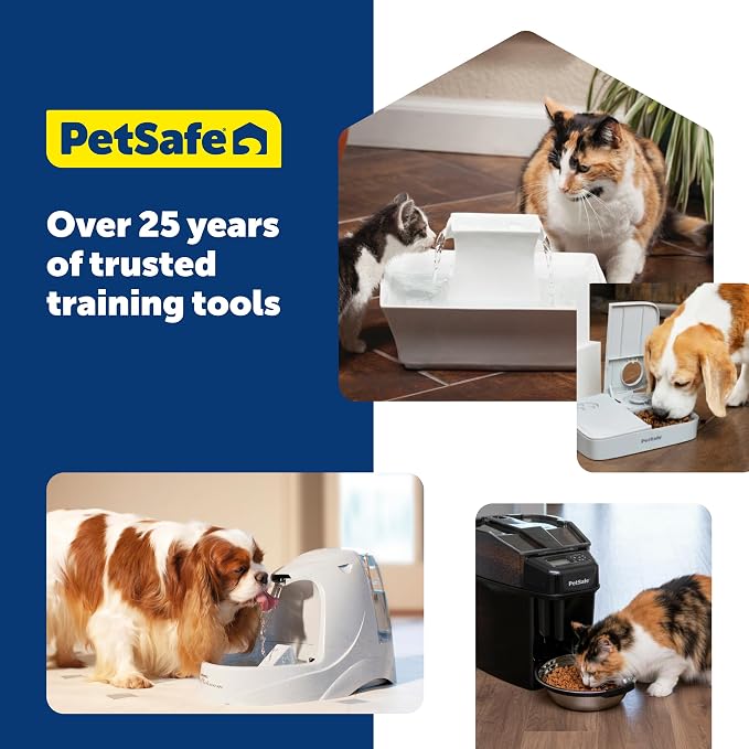 PetSafe Seaside Stainless Steel Cat & Dog Fountain, 60 Oz Water Capacity - 2 Water Filters & 1 Pump Included, Soothing Flow for Pets, Scratch-and Rust-Resistant Material - Quiet Motor (Pack of 4)