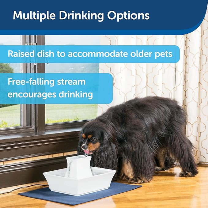PetSafe Drinkwell Pagoda Fountain - Hygienic Ceramic Continuous Flowing Fountain - Elevated Upper Bowl & Double Free-Falling Stream Design - Minimalist Pet Hydration Station - 70 oz Capacity