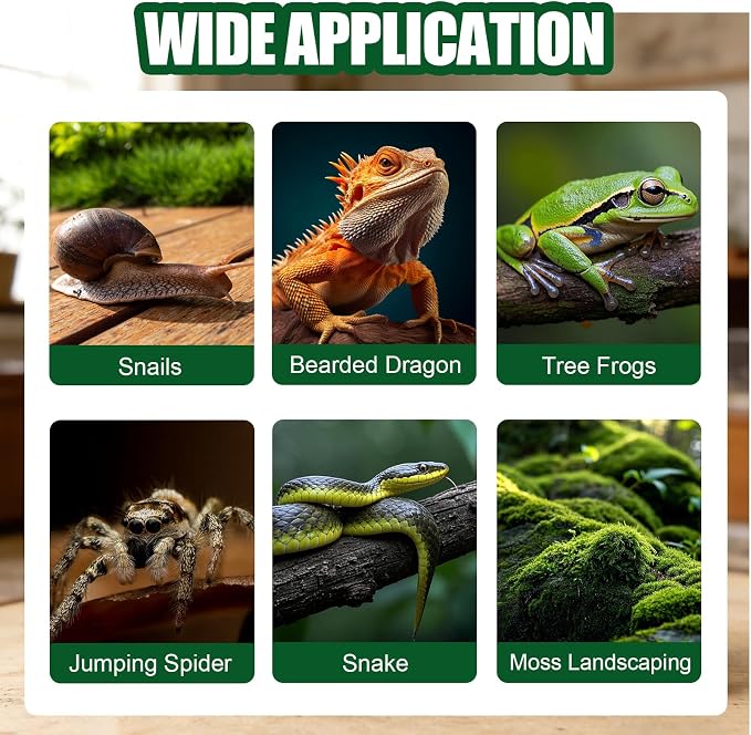 Acrylic Jumping Spider Enclosure, Transparent Reptile Terrarium Enclosure, Small Reptiles Habitat Tank Breeding Box for Tarantula Insect Snake Lizard (13.78 Large)