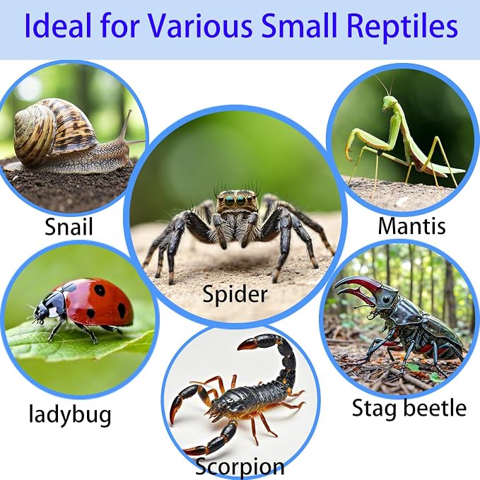Acrylic Jumping Spider Enclosure,Reptile Enclosure,Bug Habitat, for Small Tree Dwelling Reptiles,Arboreal Tarantula Enclosure, Spider Terrarium Kit,Plastic Terrarium(4.7" X 4.7" X 8")