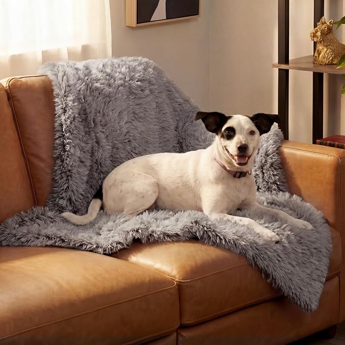 Furhaven Waterproof Throw Blanket for Dogs & Indoor Cats, Reversible Protective Pet Blanket, Medium, Long Faux Fur & Velvet, Gray