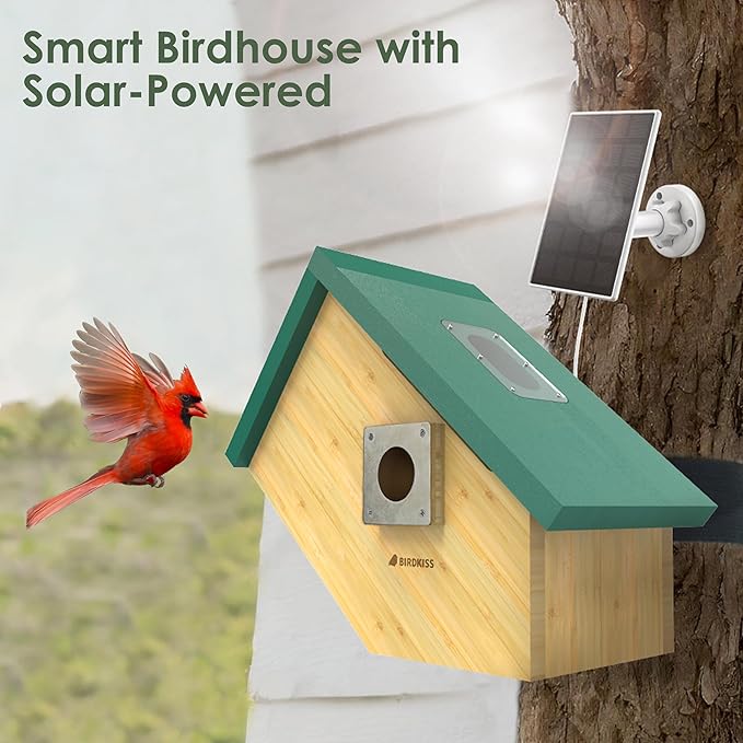 Birdkiss Smart Bird Houses for Outside Solar Powered, 1080P HD Live View Birdhouse with Camera, Perfect Viewing Bird Nesting and Hatching, Ideal Outdoors Bird House for Blue Bird and Cardinal (Green)