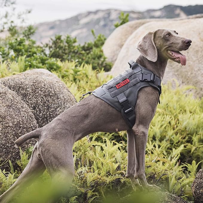 OneTigris Tactical Dog Harness Vest No-Pull Service Dog Vest for Large Dogs | 1000D Pullable Nylon, with Control Handle and Hook & Loop Panels, Easy On & Off, Adjustable for Walking Training Gray L