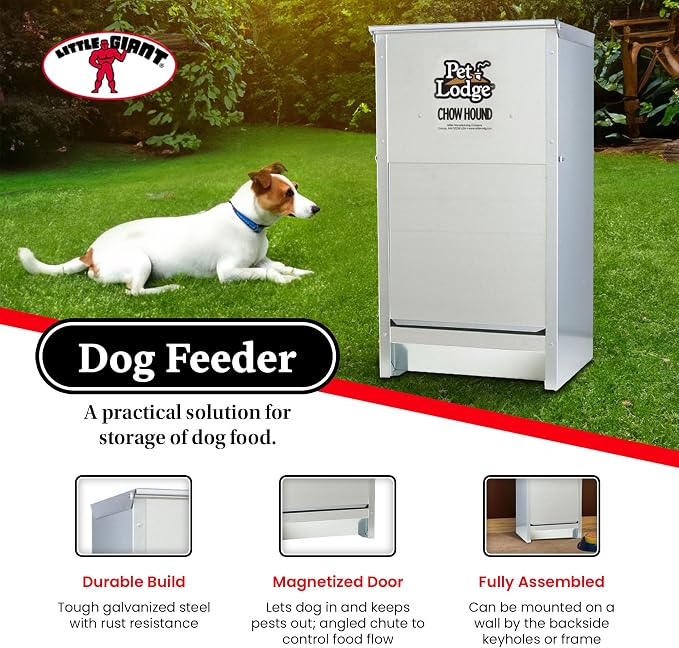 Little Giant Chow Hound Heavy Gauge, 25 Pound Capacity, Silver, Pack of 2 | Steel Indoor and Outdoor Dry Food Automatic Dog Feeder