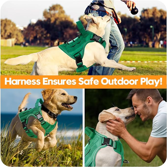 Heavy-Duty Tactical Dog Harness for Large Dogs, No Pull Adjustable Reflective Pet Vest with Molle System, K9 Military-Grade Control for Service Training, Outdoor & 10+ Breeds, Turquoise, Medium