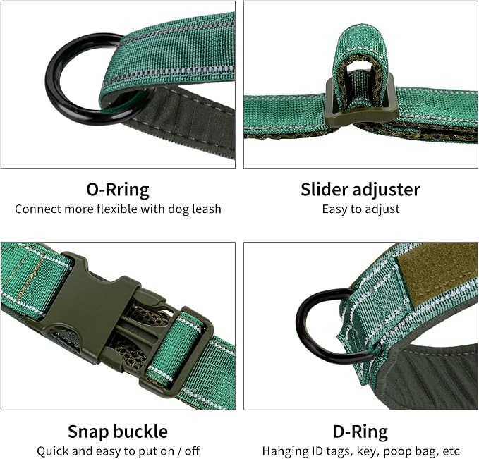 Annchwool No Pull Dog Harness with Soft Padded Handle-Reflective Strip Escape Proof and Quick Fit to Adjust Dog Harness-Easy for Training Walking for Small & Medium and Large Dogs(Green,XS,1 In Width)