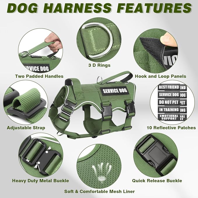 Service Dog in Training Vest and Leash Set+10 Patches,Escape Proof | Heavy Duty Tactical Dog Harness with Metal Buckles for Large Sized Dogs,No Pull Front Back Clips,for Training Hiking,Green L