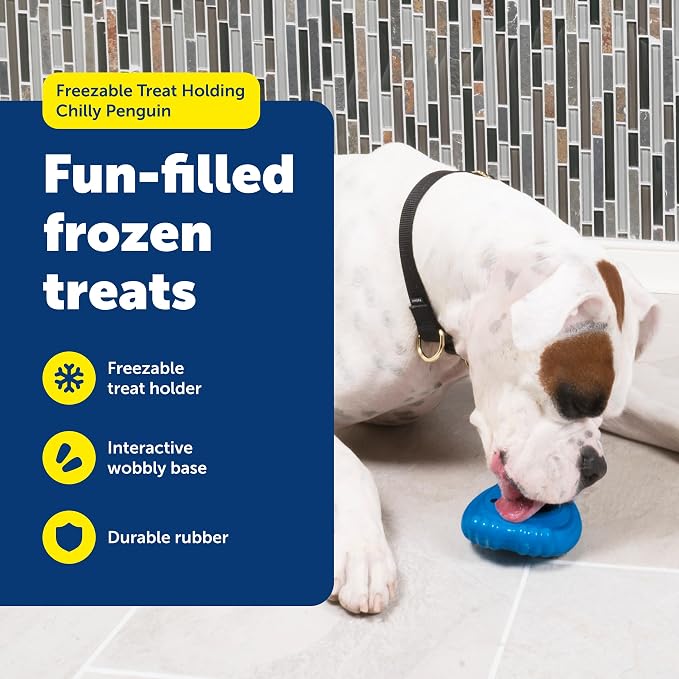 PetSafe Chilly Penguin Freezable Treat Holding Dog Toy, Medium/Large | Fill with Frozen Treats Like Peanut Butter or Wet Dog Food, Vanilla-Scented and Stackable Design, Top-Shelf Dishwasher Safe