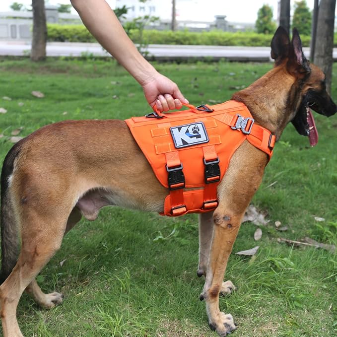 ICEFANG GN3 Tactical Dog Harness with 6X Buckle,Dog Molle Vest with Handle,3/4 Body Coverage,Hook and Loop Panel for ID Patch,No Pulling Front Clip (L (28"-35" Chest), Orange) | Control Handle,MOLLE Panel,Front Hook,3 Leash Clips,Soft Padded,for Walkin...
