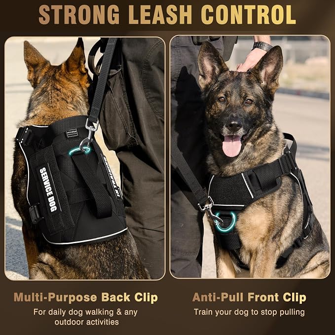 2X Metal Buckle Service Working MOLLE Dog Vest with 10 Pet Patches | Tactical Dog Harness for Medium Dog, No-pull Military Working Vest for Training Hunting Walking，2x D Rings for Leash Clip