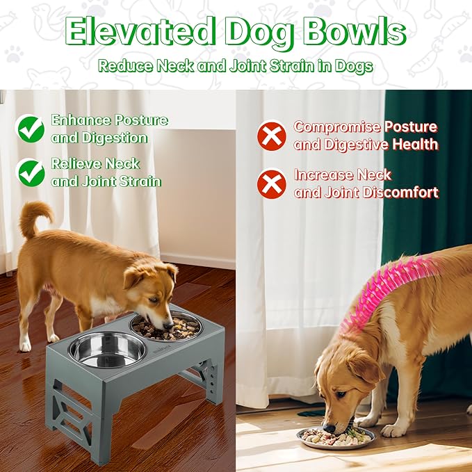 EliteField Elevated Dog Bowls, 2 Stainless Steel Bowls (2-Year Warranty) | 58 oz Bowls, 5 Adjustable Heights, Small to Large Dogs, Foldable, Dishwasher Safe, Anti-Slip Feet