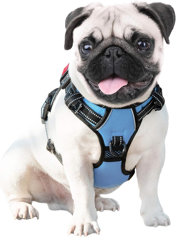No Pull Dog Harness Reflective Adjustable Vest with Training Handle | Name ID Pocket, 2 Metal Leash Hooks, 3 Snap Buckles [Easy to Put on & Take Off](M, Baby Blue)