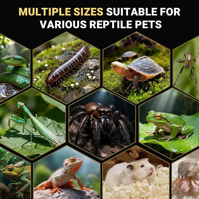 Jumping Spider Enclosure - Acrylic Terrarium Habitat for Spiders, Tarantulas, Snail, Mantis, Lizard, and Small Reptiles, Magnetic Doors (3x3x6 inch)