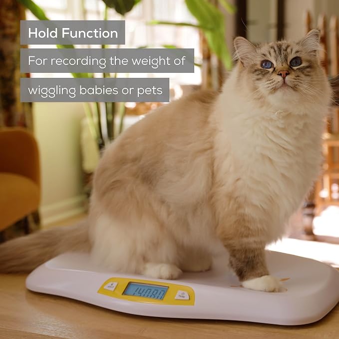 Beurer BY80 Digital Baby Scale, Infant Scale for Weighing in Pounds, Ounces, or Kilograms up to 44 lbs with Hold Function, Pet Scale for Cats and Dogs Analysis
