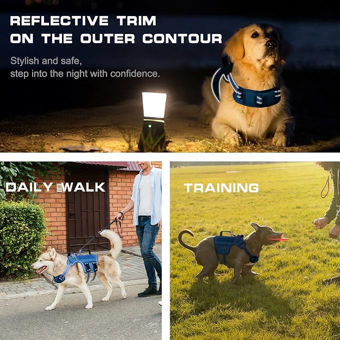 Dog Harness, Tactical No Pull for Small Sized Dog with Handle | Breathable Soft Padded, Adjustable, Reflective, Molle System, Heavy Duty, No Choke for Walking Training, Blue Small