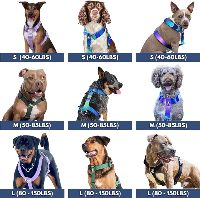 Spark Paws Comfort Control No Pull Dog Harness - Heavy Duty Front Clip | Safety Tested for Strong Breeds, w/ Metal Buckle & Top Handle – Padded Y-Straps Redirect Pulling. Solo or Matching Leash Set