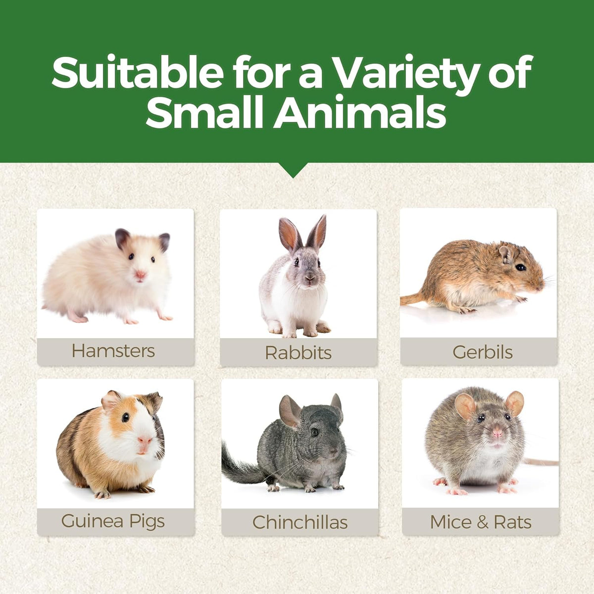 TEEWY 4PCS Guinea Pig Chew Toys, Prevent Teeth Overgrowth, Natural Vegetables and Timothy Grass, Hamster Chew Toys, Guinea Pig Toys, Chinchilla Toys, Grass Patch & Mushrooms