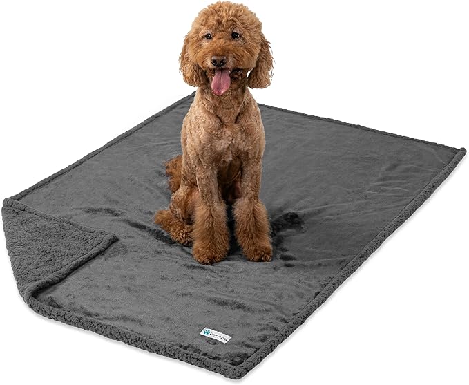 PetAmi Waterproof Dog Blanket for Medium Large Dog Puppy Cat Throw for Couch Cover Leakproof Protection, Sherpa Fleece, Reversible Soft Washable 60x40 Gray Gray