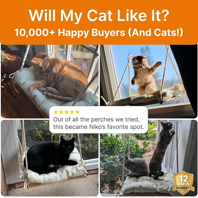 Cat Window Perch with Industrial-Grade Suction Cups - Solid Pine Wood Hammock Bed, Soft Cushion - 42 lb Capacity for Cats Inside