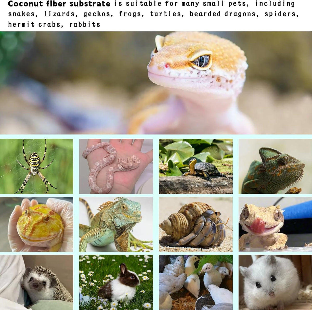 Hamiledyi 35.4×15.7" Reptile Carpet Coconut Fiber Substrate Large Lizard Cage Mat Coco Fiber Liner Snake Bedding Natual Coconut Fiber Carpet for Bearded Dragon Turtles Iguana Tortoises