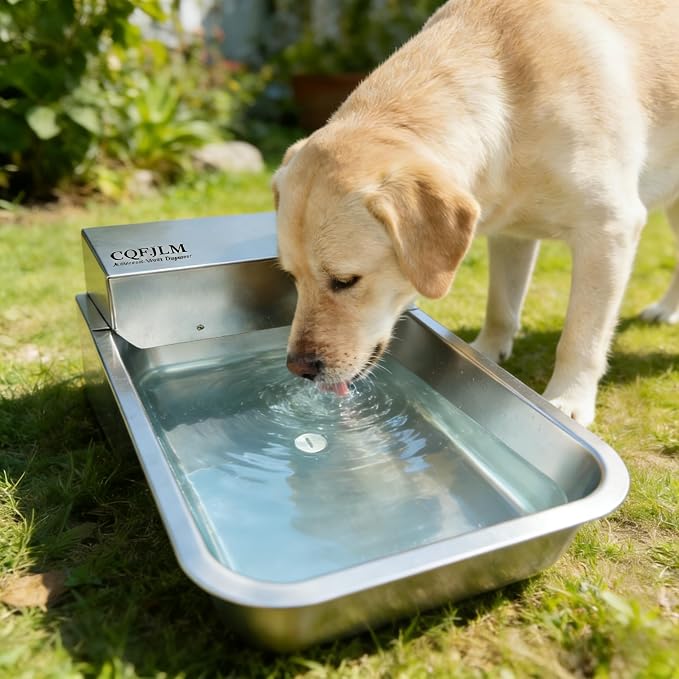 Metal Automatic Dog Water Dispenser Can Separate Large Debris | 3 Gallon Outdoor Automatic Water Bowl,Detachable Dual-Use Water Bowl,Water Level Control,for Dogs Poultry Sheep (11L-B)