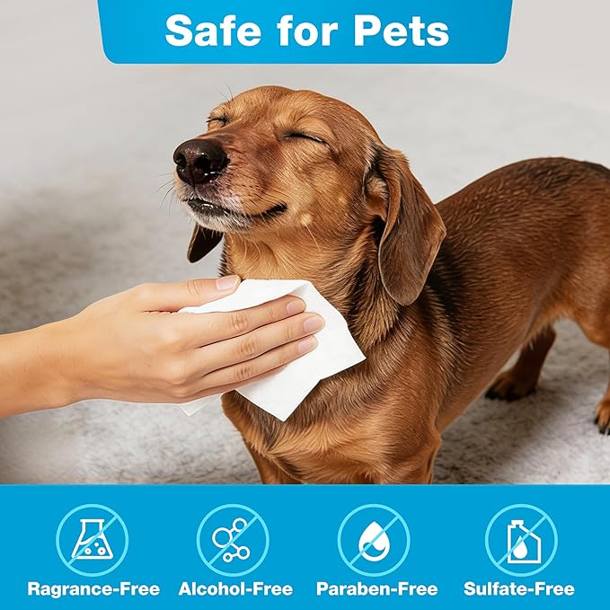 Prime Pets Dog Wipes for Paws and Butt, 600 Count, Pet Wipes for Dogs & Cats, 100% Fragrance Free, Deodorizing Puppy Wipes for Cleaning Face Eyes Ears Paws Teeth Body