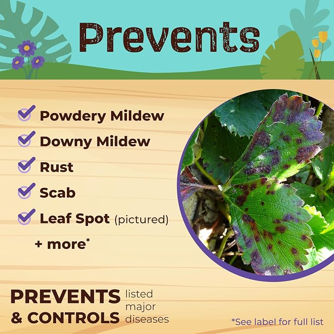 Bonide Captain Jack's Neem Oil, 128 oz Ready-to-Use, Multi-Purpose Fungicide, Insecticide and Miticide for Organic Gardening