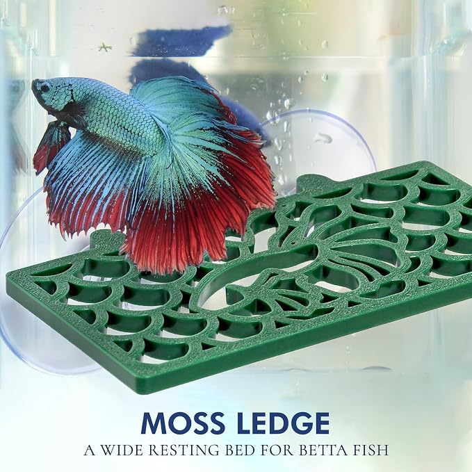 Abizoo Betta Fish Tunnel Hideout and Hammock Bed Aquarium Decor Dark Green | Hollow Cave Design, Moss-Friendly Textured Surface, Small Coral Hole, Safe for Shrimp, Guppy, Neon Tetra, Snails, Dwarf Frog