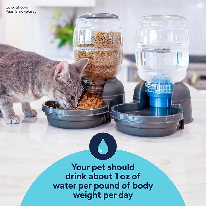 Petmate® Replendish® Automatic Dog Water Dispenser Gravity Pet Waterer with Microban Antimicrobial Protection, 100% BPA Free - 2.5 Gallon, Wide Mouth Bowl, with 2 Extra Filters