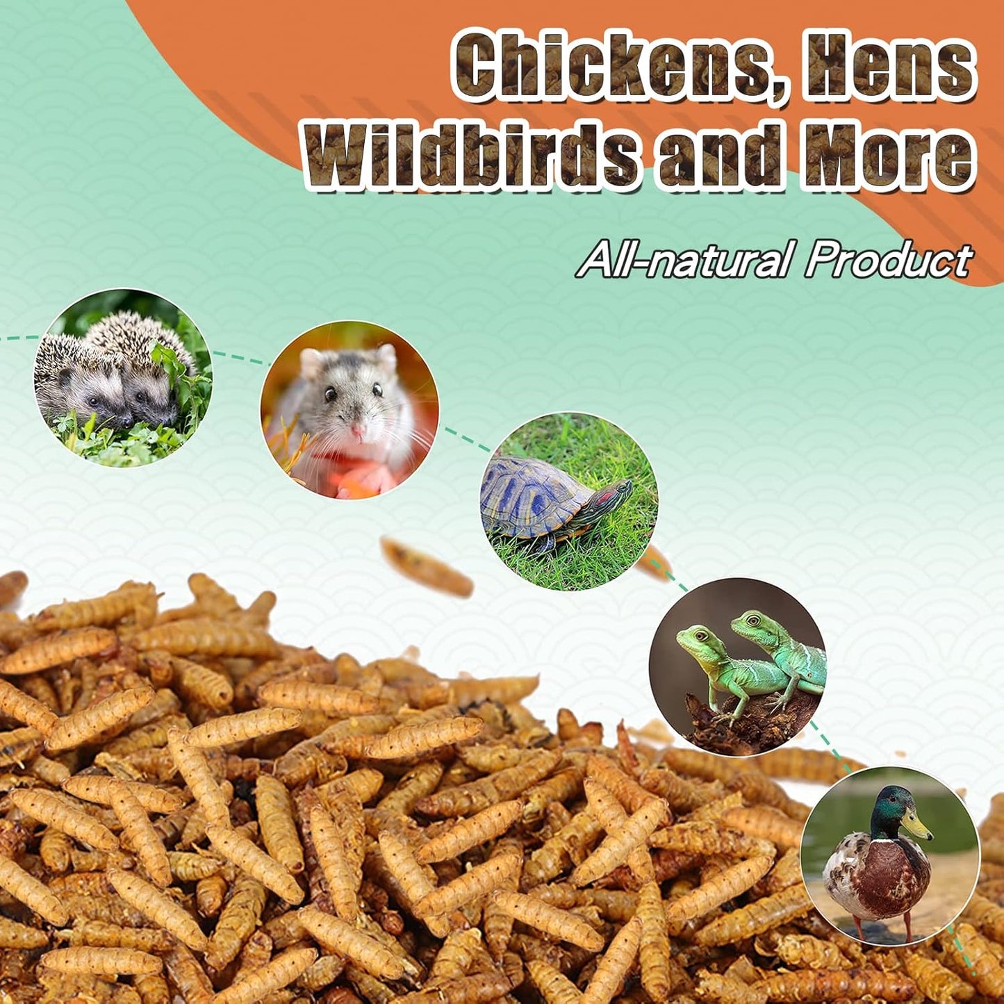 Dried Black Solidier Fly Larvae 11LBS, 85X More Calcium Than Mealworms High-Protein BSF Larvae Chicken Treats Non-GMO BSFL for Chickens, Hens, Ducks, Wild Birds