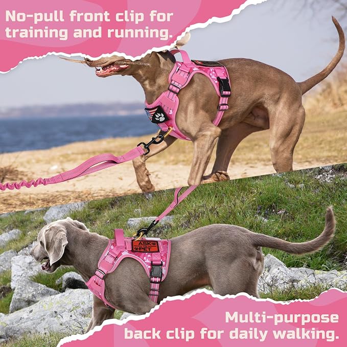rabbitgoo Tactical Dog Harness for Medium, No Pull Military Service Vest | Molle & Handle, Heavy Duty, Adjustable, Reflective Straps, Easy Control for Training Walking, Pink camo, Medium