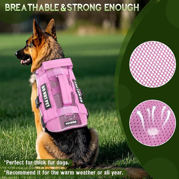 Tactical Molle Vest Mesh Dog Harness with 10 Removale Pet Patches | Breathable Service Dog harness with Double Soft Padded Handle for Small Dog, Reflective Military Pet Vest for Walk Hiking