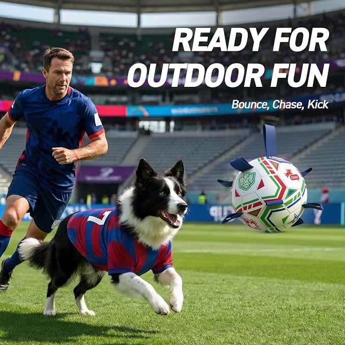 QDAN World Cup Soccer Ball for Dog, 8 Inch Dog Balls with Straps for Interactive, Tug and Training, Indoor Outdoor Toys for Medium & Large Dogs, 2026 Herding Ball