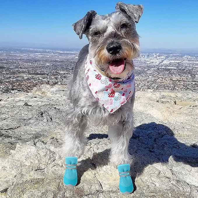 QUMY 4PCS Dog Shoes for Small Dogs, Hot Pavement Summer Puppy Dog Boots & Paw Protectors with Soft Anti-Slip Rubber Sole, Mesh Breathable Dog Booties for Hardfloors, Walking Running Blue Size 4