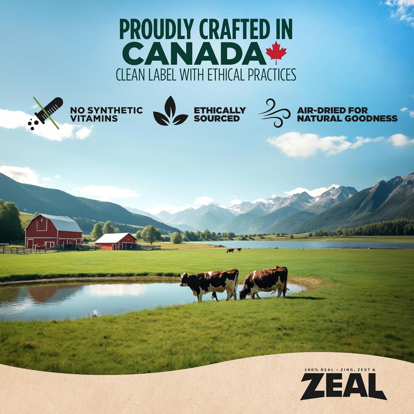 ZEAL Canada Air-Dried Turkey Recipe for Dogs - High Protein, Natural Superfoods, Nutrient Rich, No Fillers, Grain Free, Complete & Balanced (Turkey, 2.2 lb)
