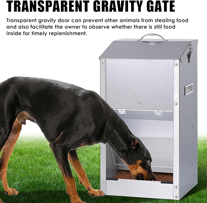 Automatic Dog Feeder Large Breed Outdoor, Stainless Steel Material | 25 Lbs Dog Dry Food Dispenser with Clear Flap Door, Gravity Pet Feeder Feeding Station, Sturdy and Durable, Wall Mountable