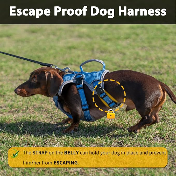 Escape Proof Dog Harness, Dachshund Harness, Reflective Dog Harness with Handle, Durable,Adjustable Vest for Small Medium Large Dogs Walking, Training, and Running Gear (Sea Blue,XL)