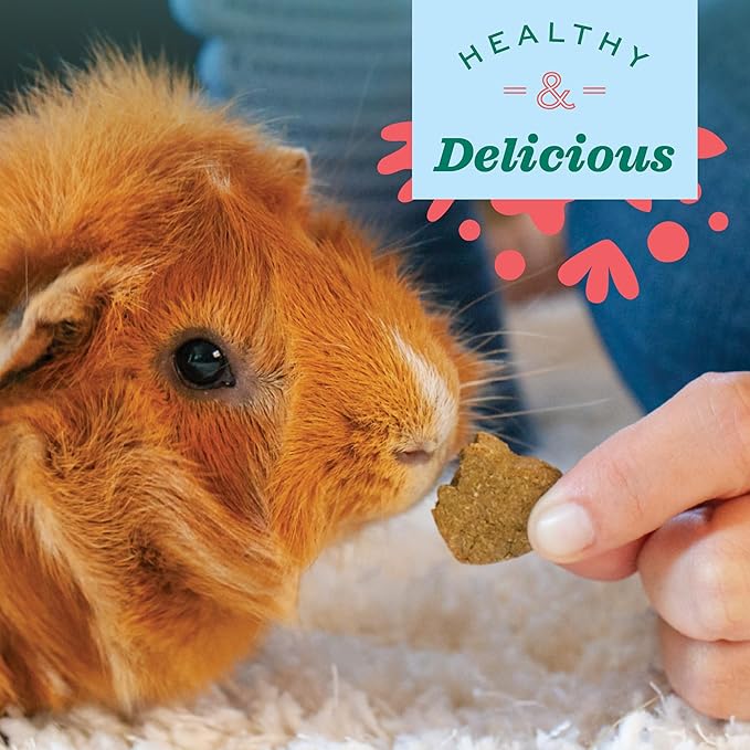 Oxbow Animal Health Simple Rewards Apple Banana Treats, Timothy Hay Guinea Pig & Bunny Treats, Pet Snack, Made Guinea Pig Hay, Made in USA, Timothy for Rabbit, 3 oz Bag (Pack of 2)
