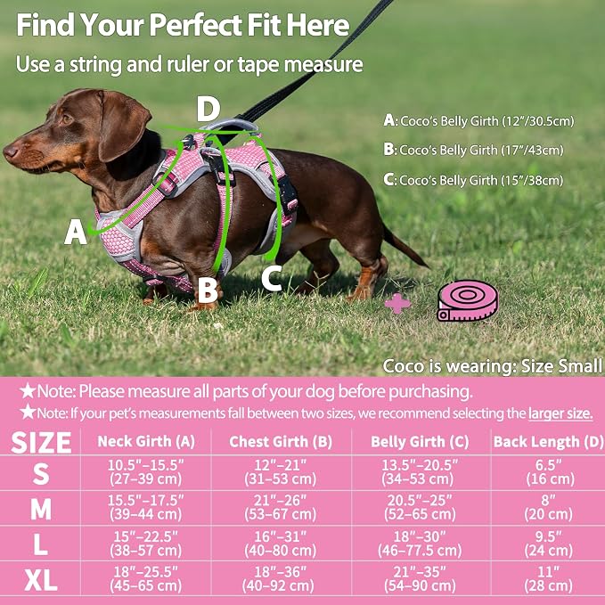 Escape Proof Dog Harness, Dachshund Harness, Reflective Dog Harness with Handle, Durable,Adjustable Vest for Small Medium Large Dogs Walking, Training, and Running Gear (Pink,S)