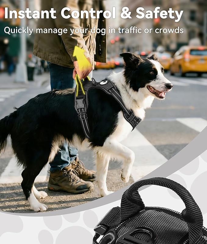 Joytale No Pull Dog Harness for Small Dogs, Front Clip, Black | Grab Handle for Instant Control, Padded & Adjustable Vest, Sturdy Metal D-Rings, for Safe Training & Daily Walking