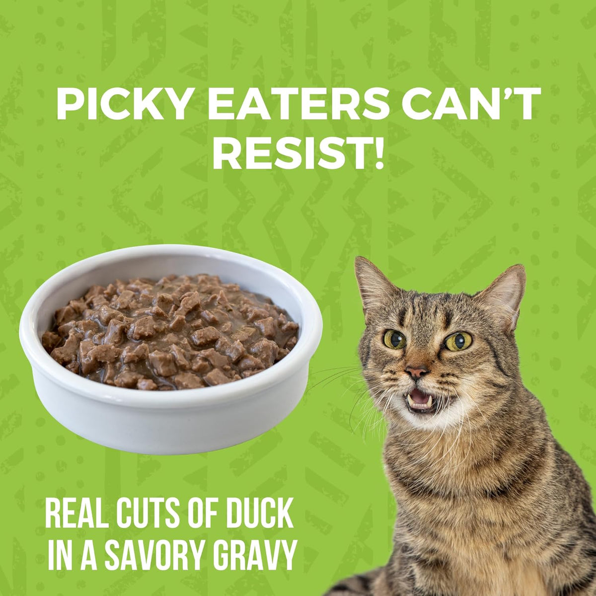 KOHA Minimal Ingredient Duck Stew for Cats, High Protein Limited Ingredient Wet Cat Food, 5.5oz Cans (Case of 24)