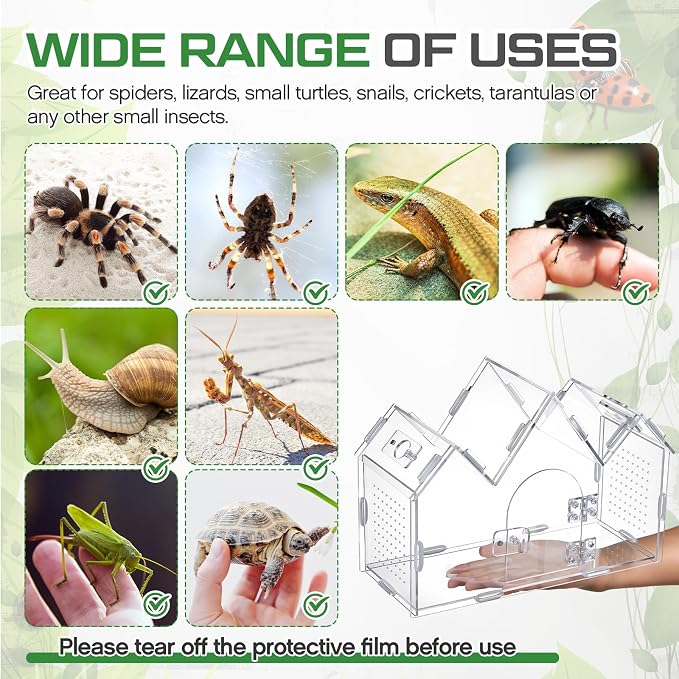 Weysat Jumping Spider Enclosure 11.2" x 4.7" x 8" Acrylic Tarantula Enclosure Castle Style Insect Terrarium with Magnetic Door Transparent Terrarium for Reptiles, Amphibians and Spiders