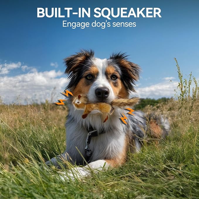 ALL FOR PAWS Chipmunk Squeaky Doy Toy, Squirrel Dog Toy for Small Medium Breed, Puppy Fetch Toy with Squeaker, Plush Chew Dog Toy, Classic-Chipmunk S